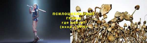 ГАЛЛЮЦИНОГЕННЫЕ ГРИБЫ Вязники