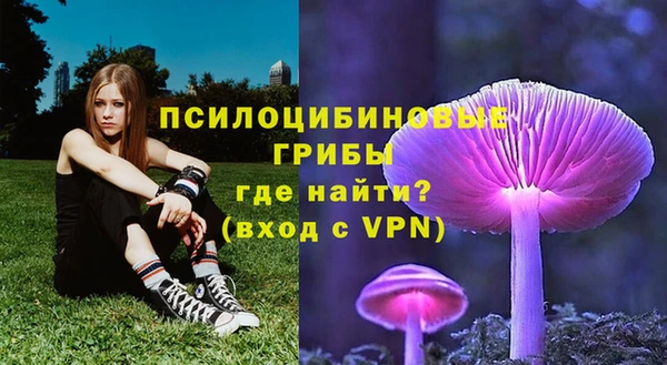 марки nbome Вяземский