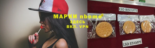 ГАЛЛЮЦИНОГЕННЫЕ ГРИБЫ Вязники