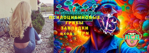 ГАЛЛЮЦИНОГЕННЫЕ ГРИБЫ Вязники