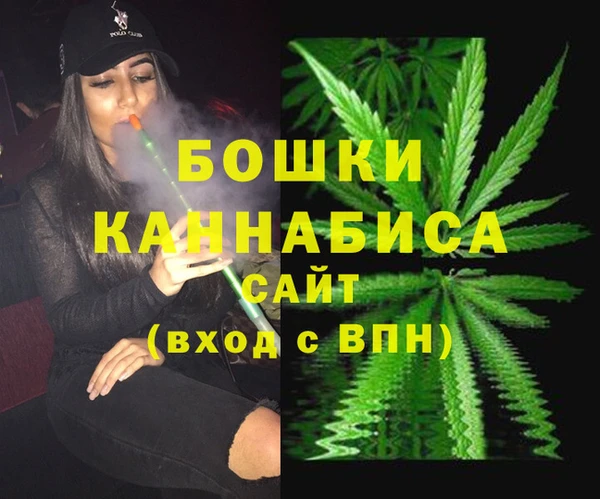 ГАЛЛЮЦИНОГЕННЫЕ ГРИБЫ Вязники