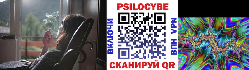Купить где  Кушва  Псилоцибиновые грибы GOLDEN TEACHER 
